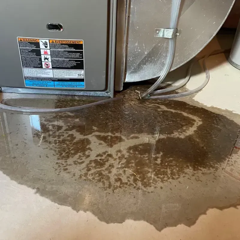 Appliance Leak Cleanup in Wapello County, IA